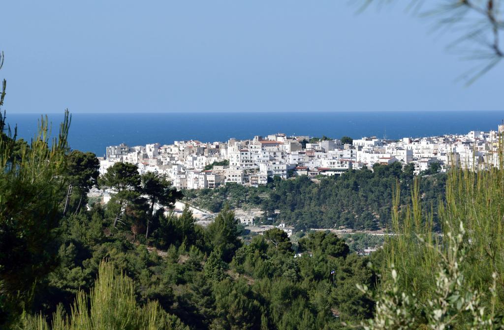 Agriturismo Torre Dei Preti 佩斯基奇 外观 照片